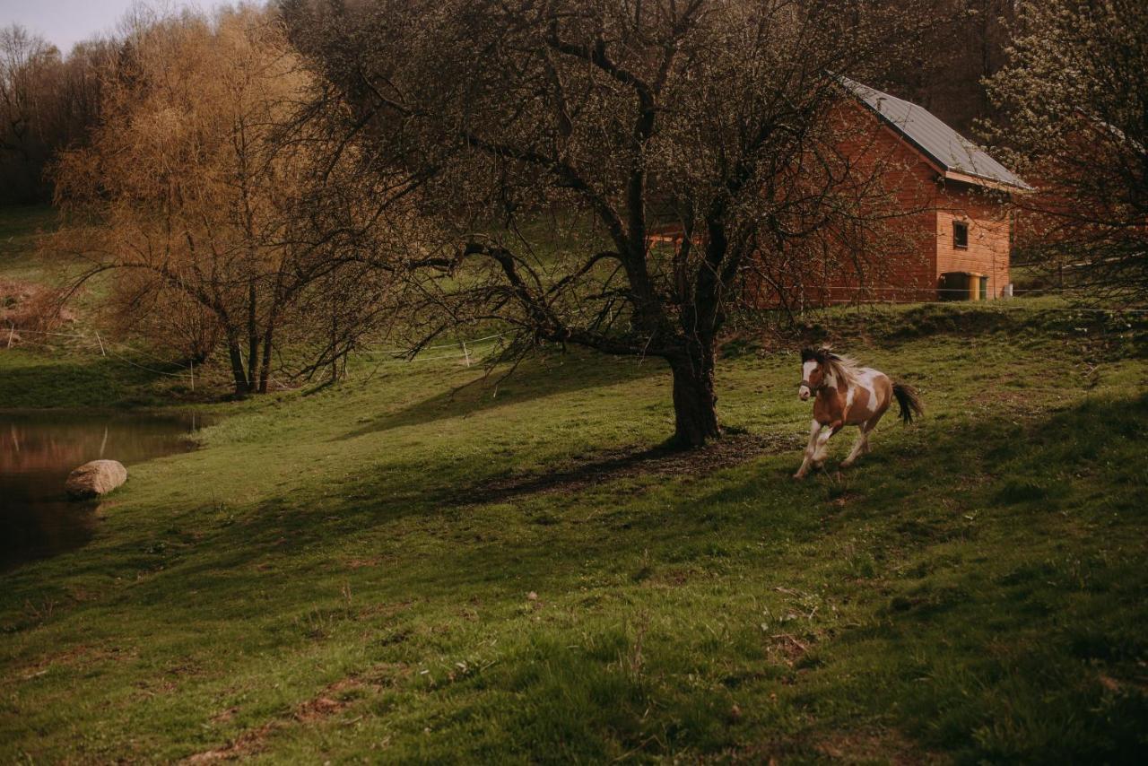 Osada Krasne - Noclegi Blisko Natury Bukowiec  Exterior foto
