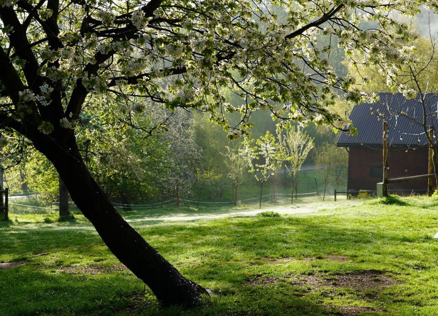 Osada Krasne - Noclegi Blisko Natury Bukowiec  Exterior foto